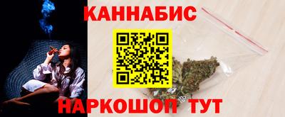 мдпв Пенза