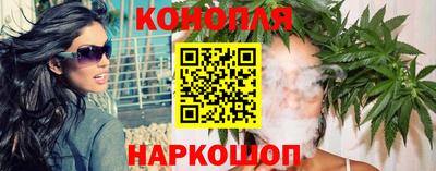 индика Партизанск