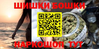 индика Партизанск