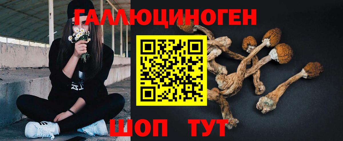 Псилоцибиновые грибы прущие грибы Тулун
