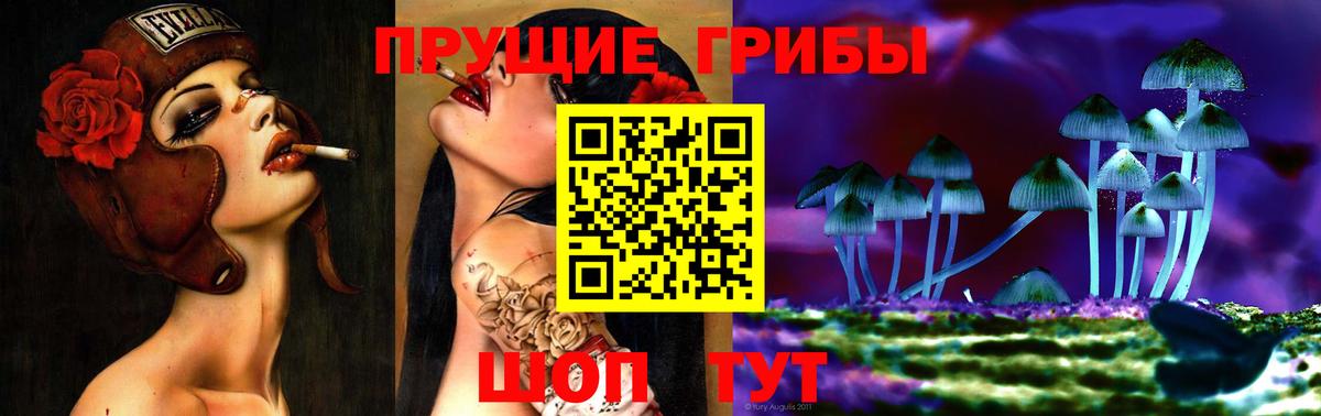 купить закладку  Вход с VPN  Тулун  Галлюциногенные грибы Psilocybe 